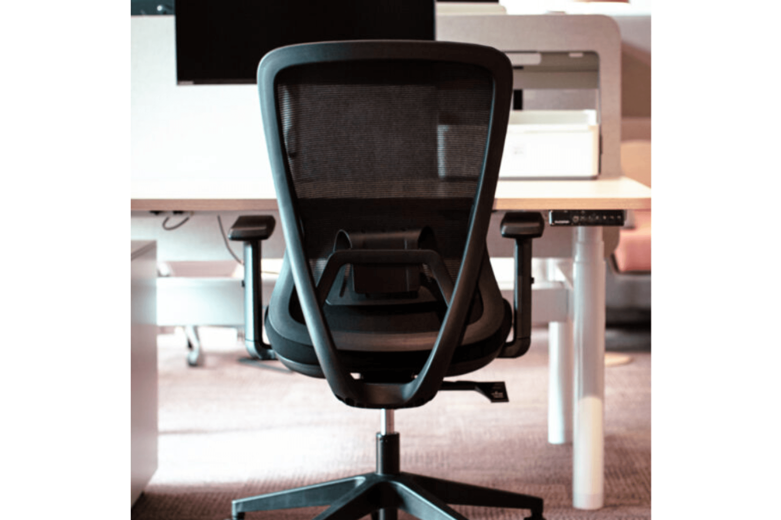 Ava Task Chair