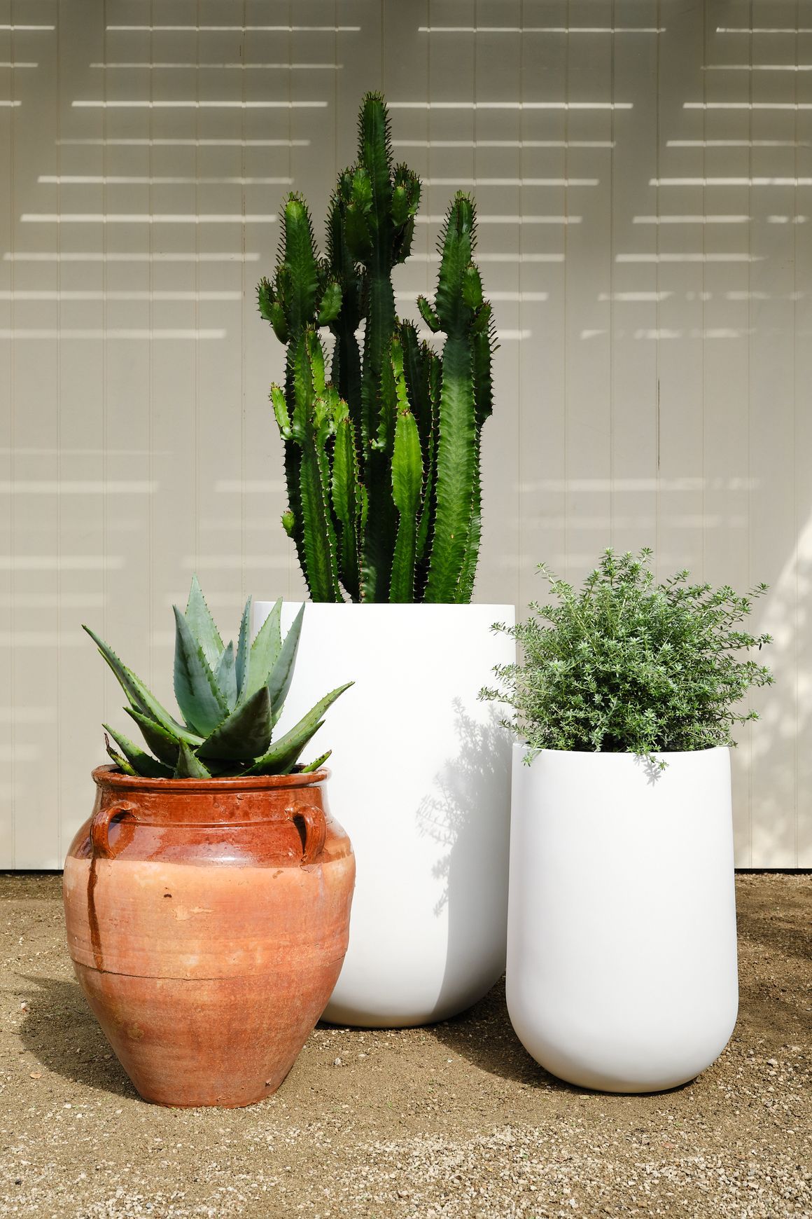 Air Vase
