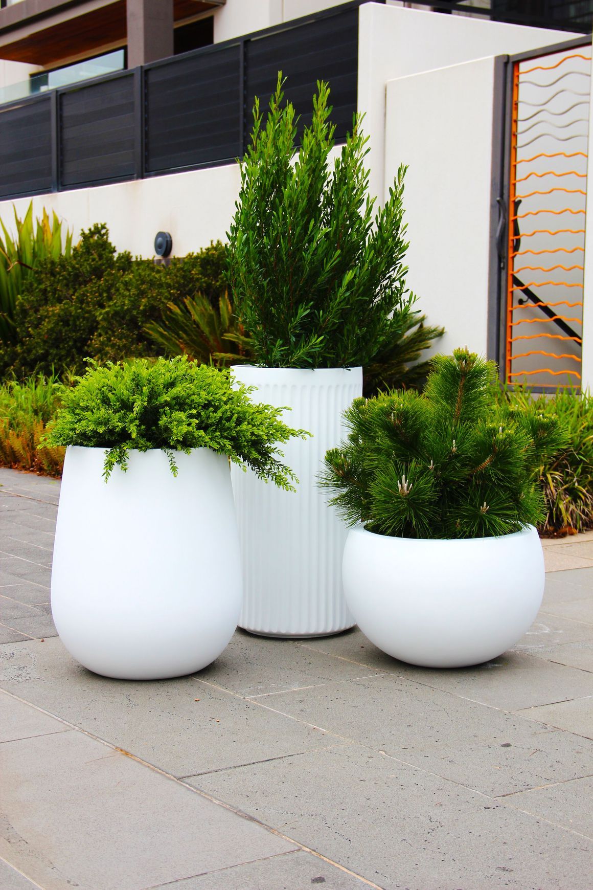 White Planter Cluster | Merlot, Doric & Cratera Bowl