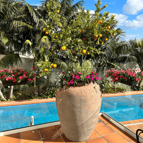 Old Stone - Pickle Jar