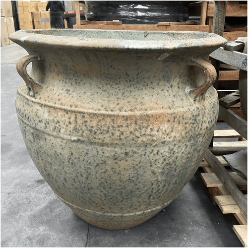 Atlantis - Pollux w/ lugs