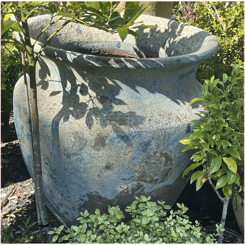 Atlantis - Skorpio Jar (No Lines)