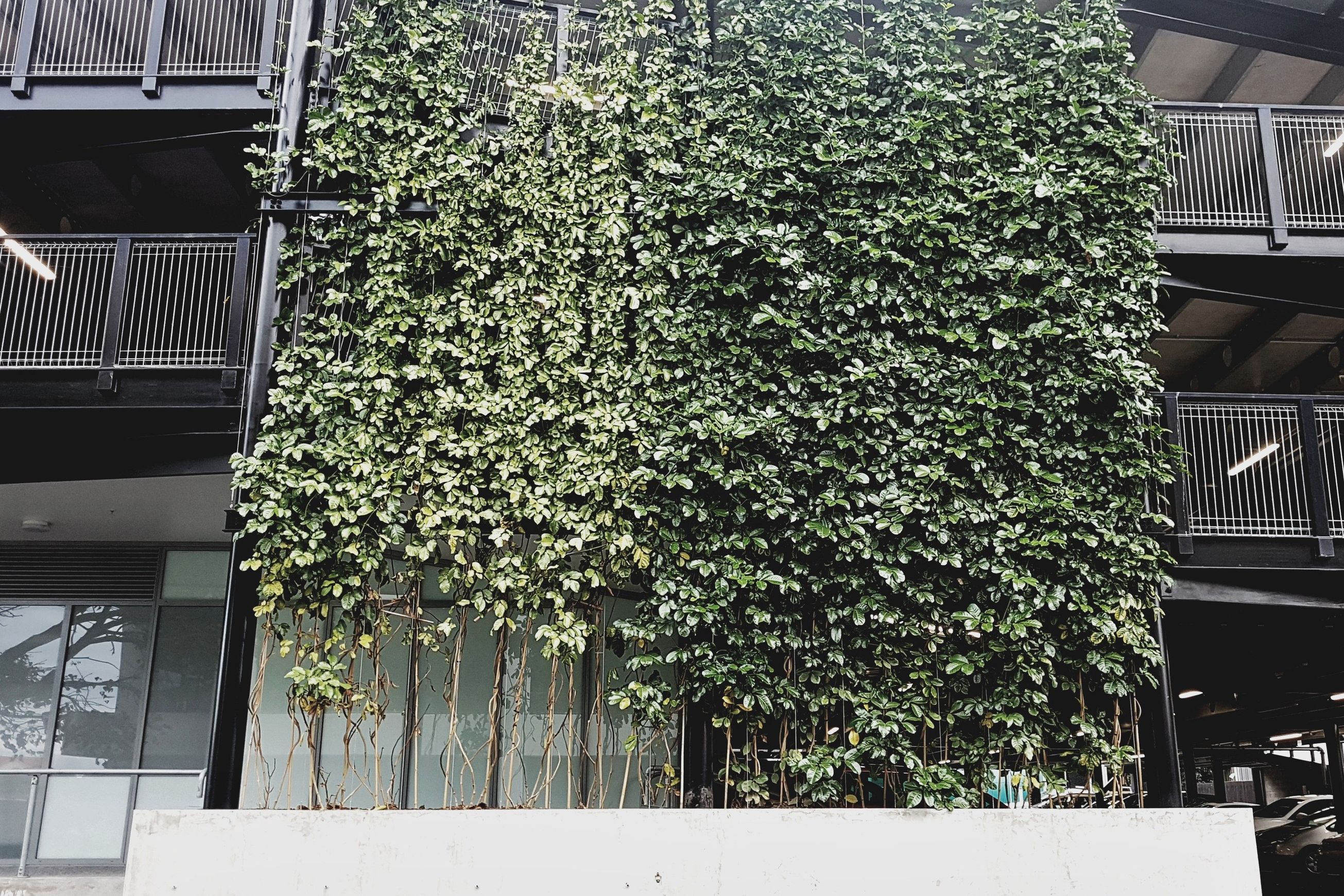 Green Wall Support Systems