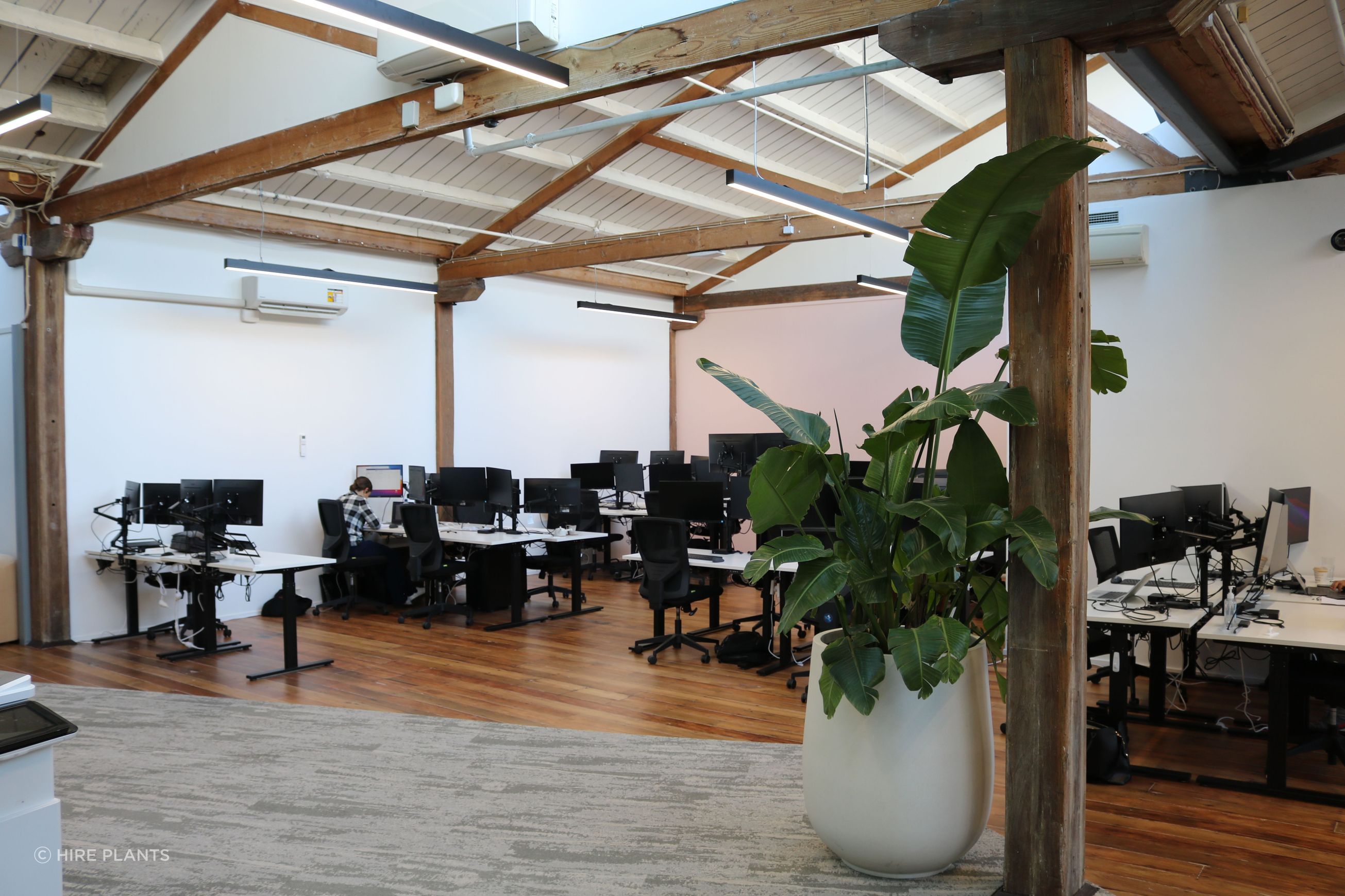 Indoor Plant Hire | Hire Plants