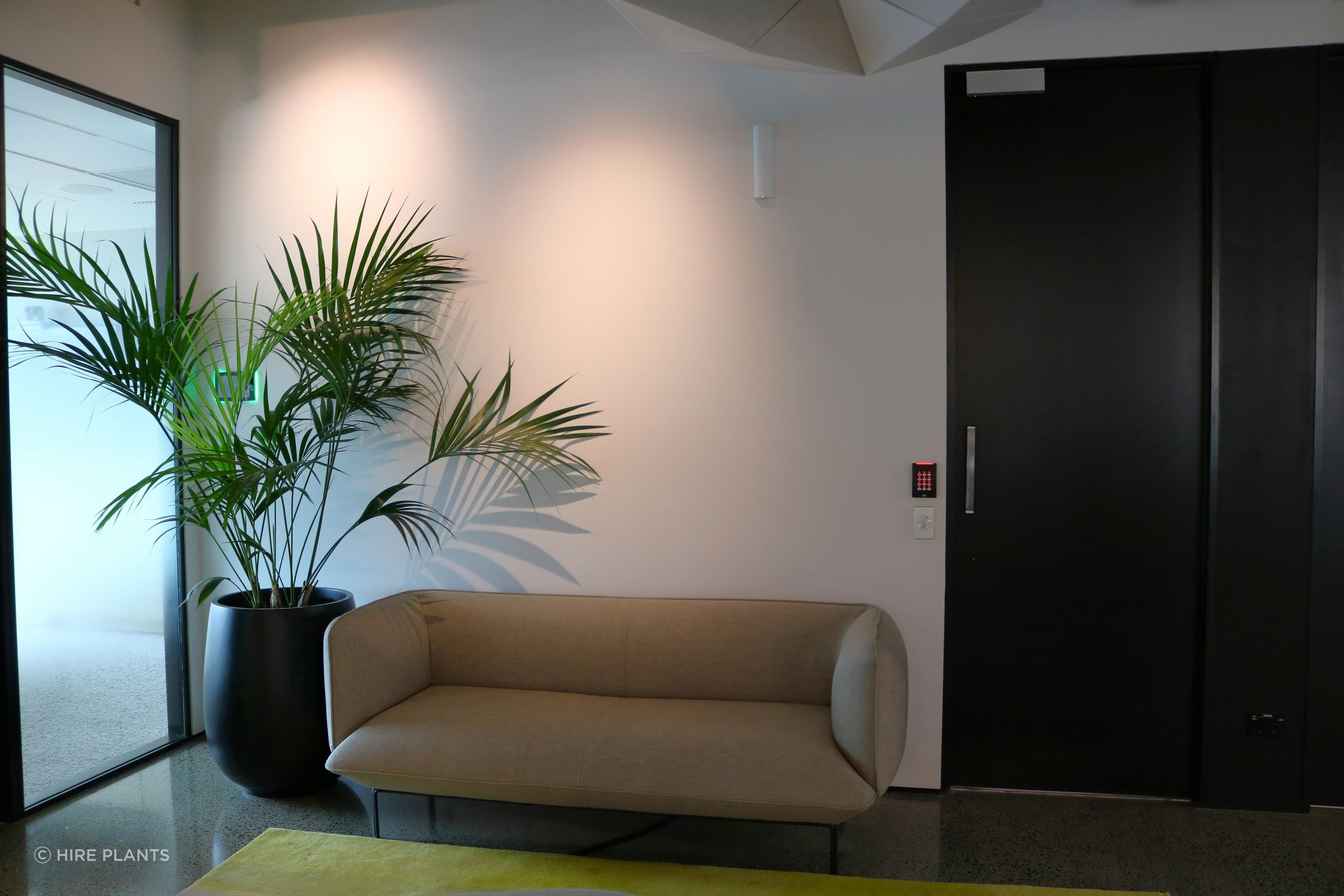 Indoor Plant Hire | Hire Plants