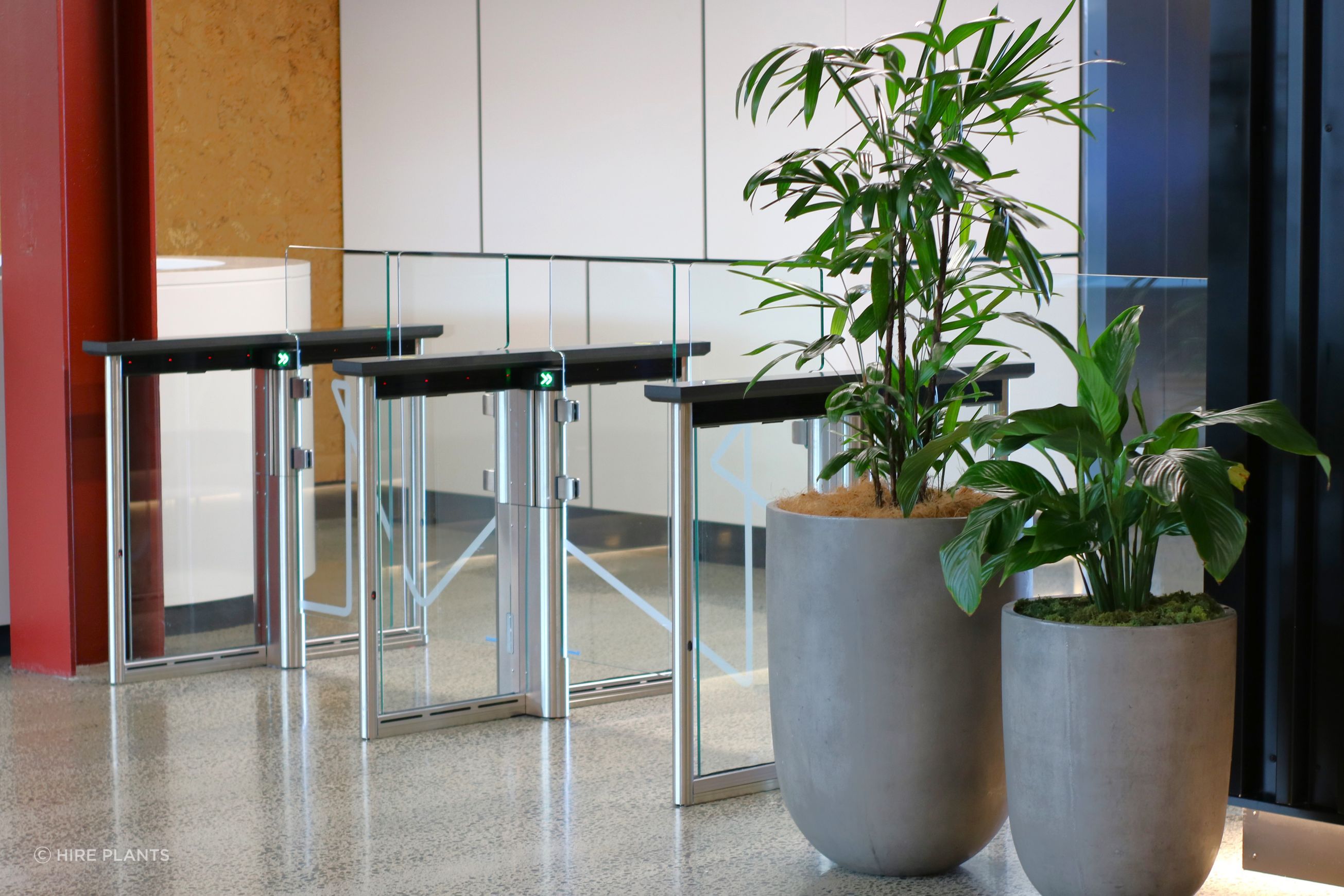 Indoor Plant Hire | Hire Plants