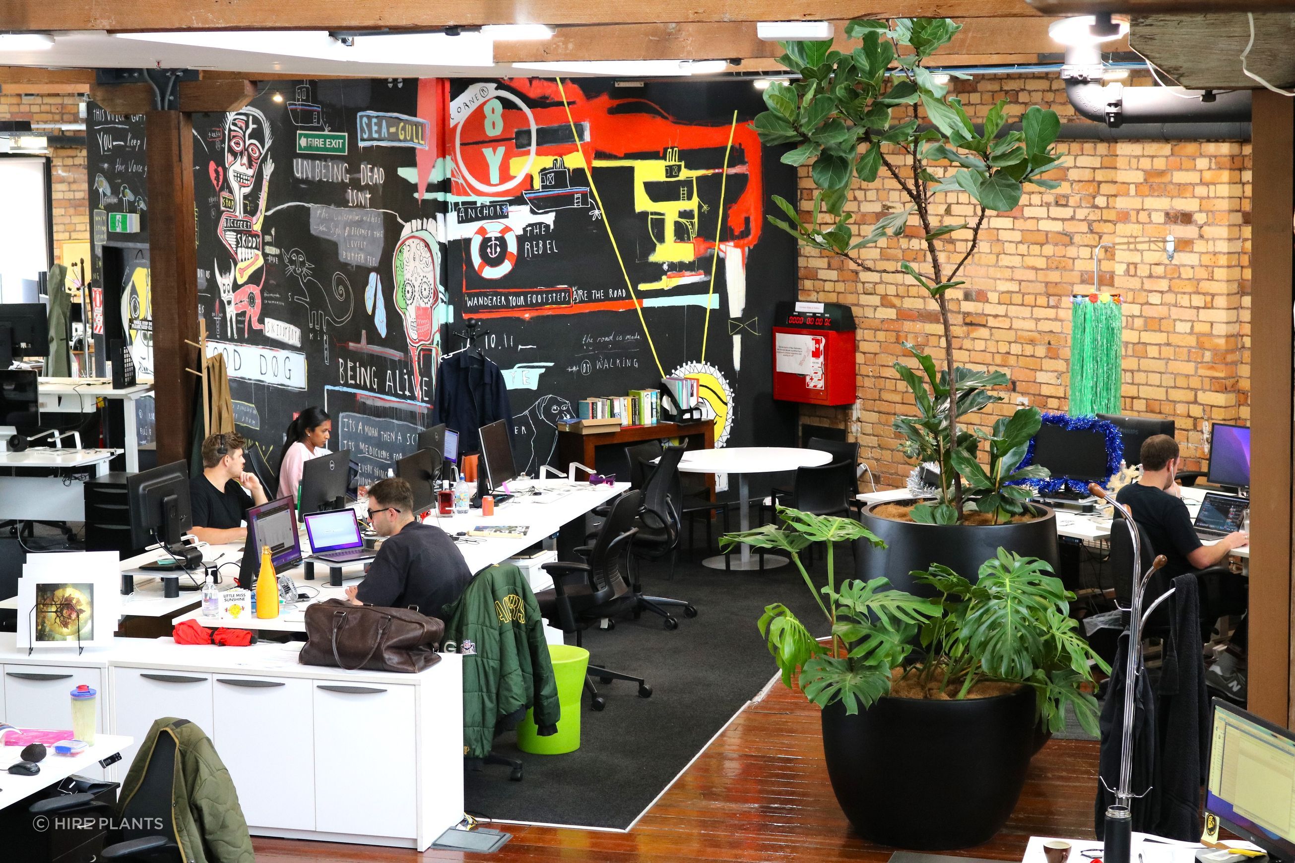 Indoor Plant Hire | Hire Plants