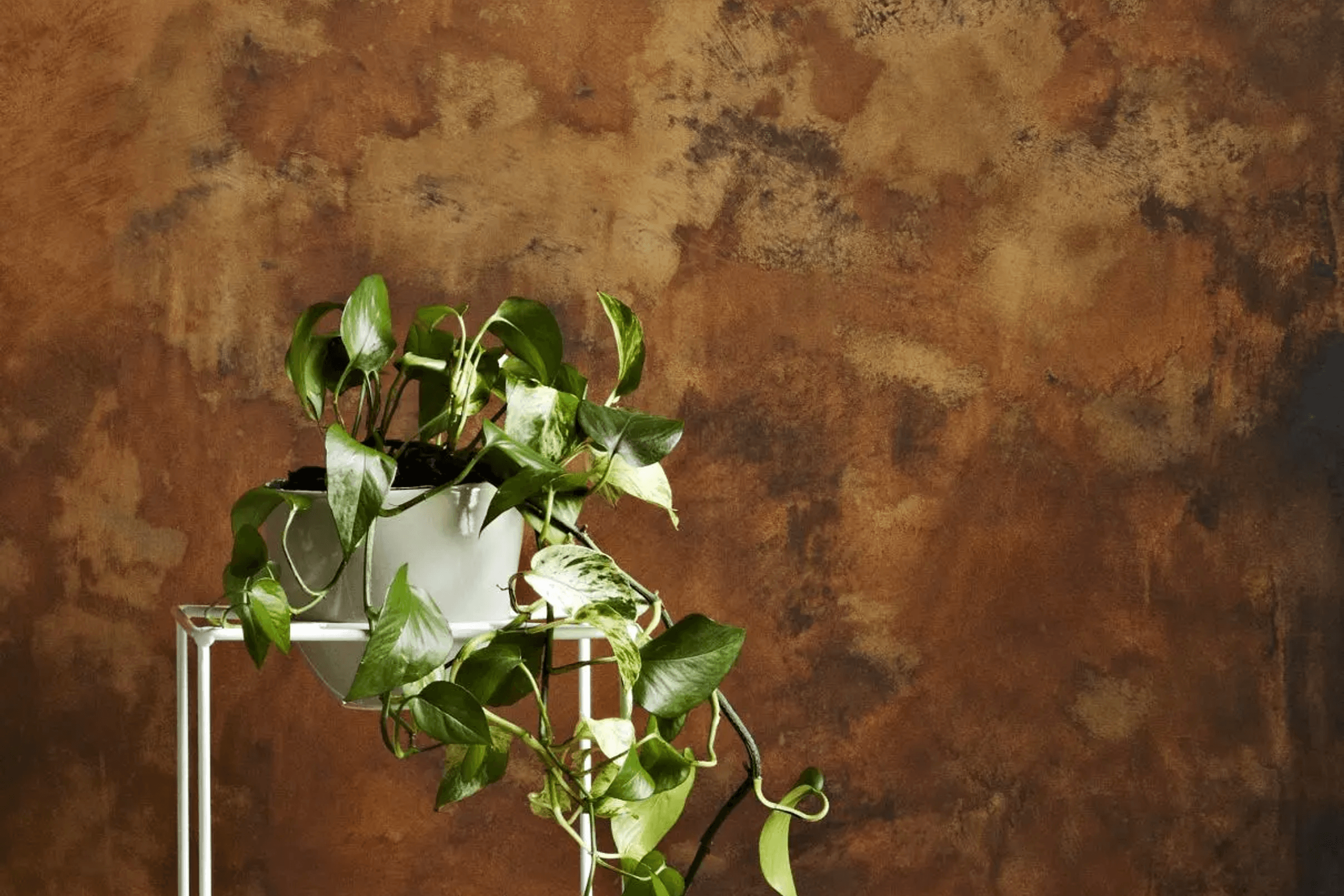 Design Rust Effect