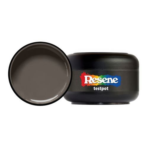 Resene Space Shuttle