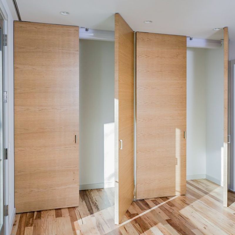 Internal Pivotica Hinge Swing Door