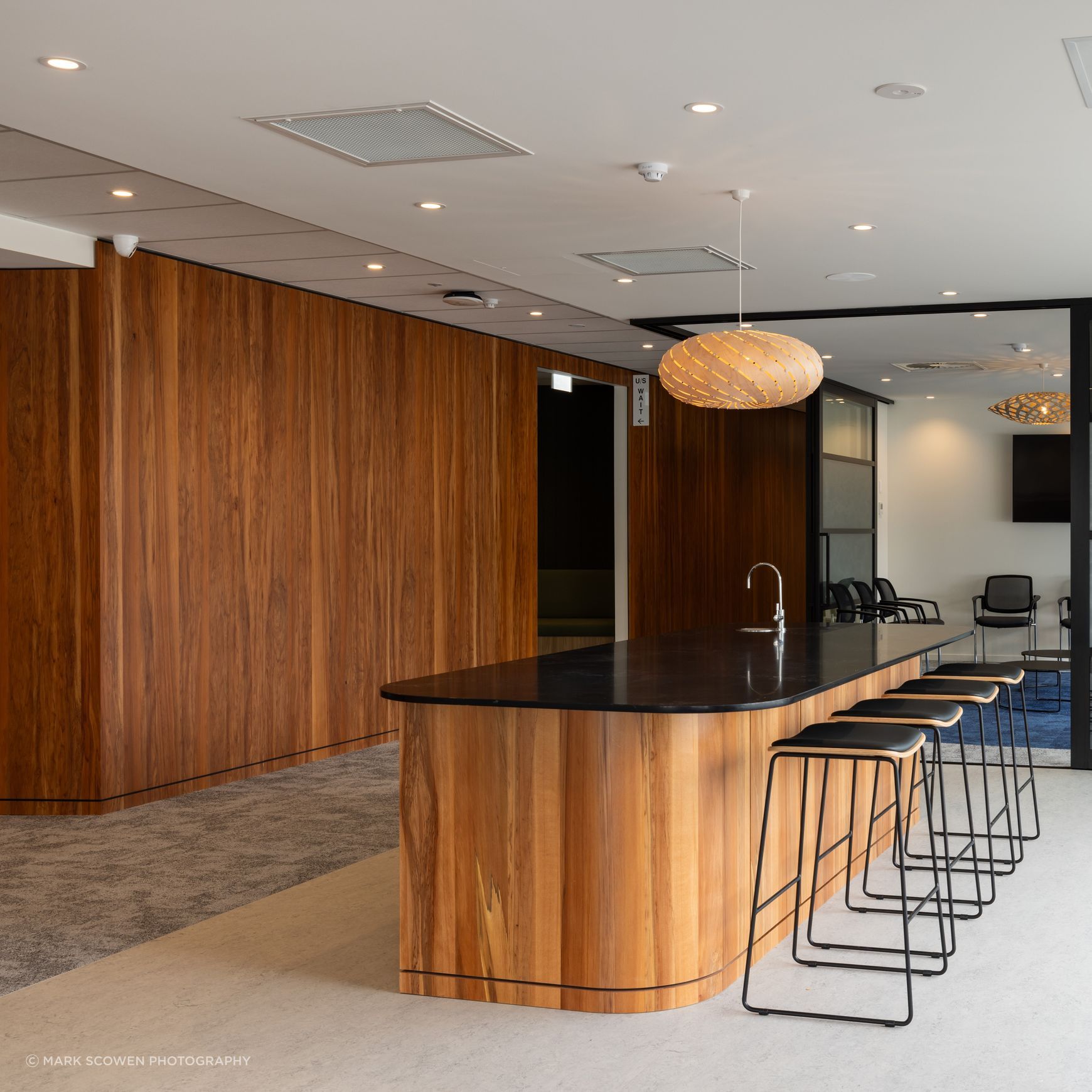 Prime Toitū Veneer Interior Panels