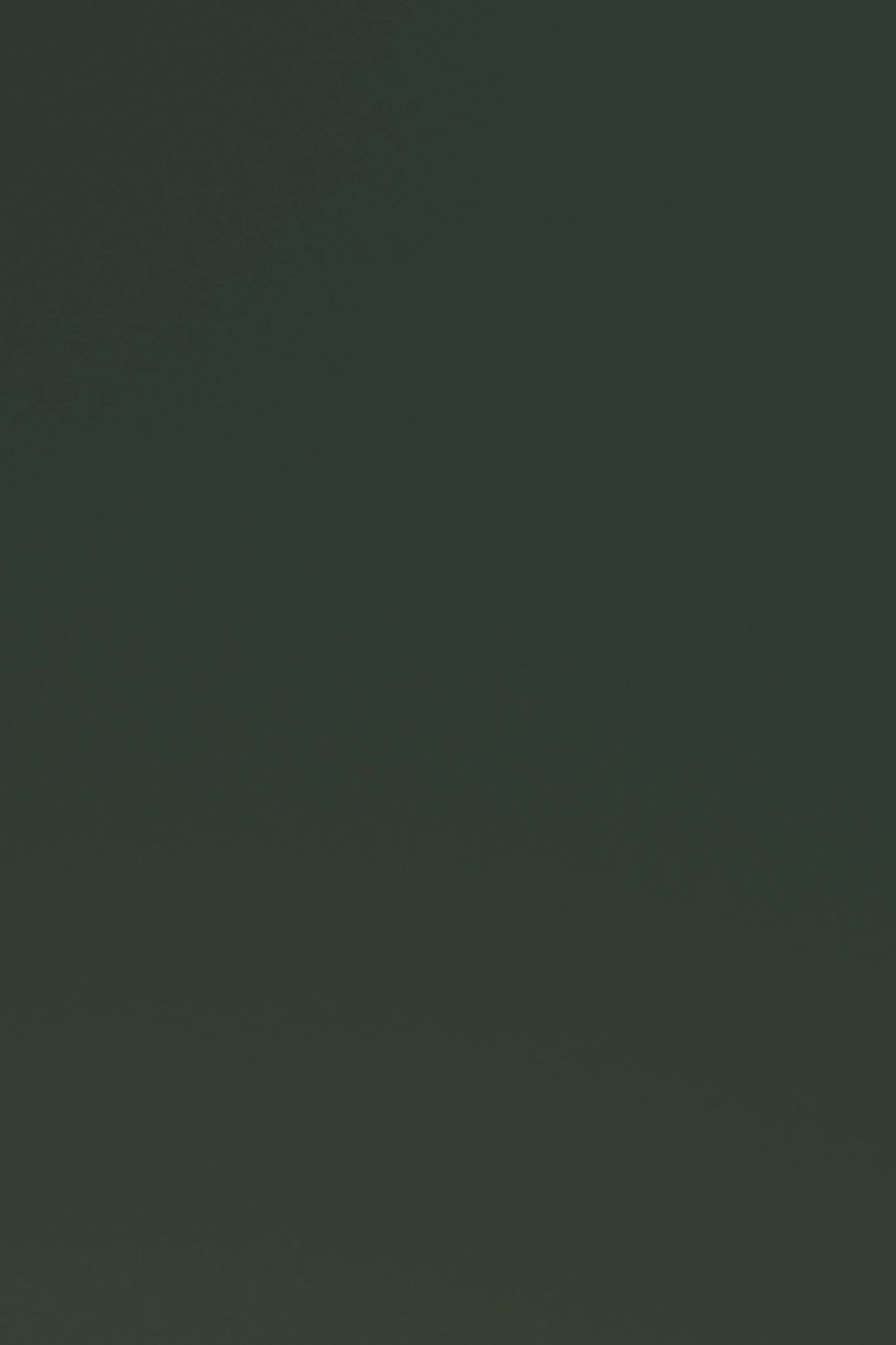 Forest | ALT™ SolidVelvet