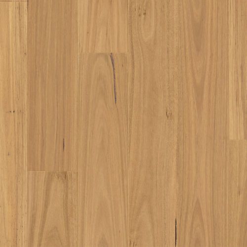Clix XL Natural Blackbutt Laminate Flooring