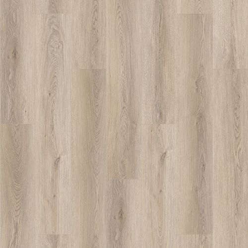 Queenstown 1.2 | Mount Eden