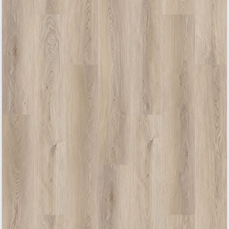 Queenstown 1.2 | Mount Eden