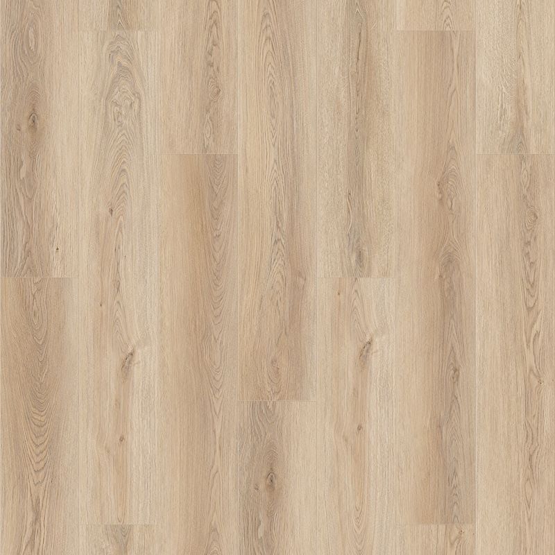 Queenstown 1.2 | Mount Cook