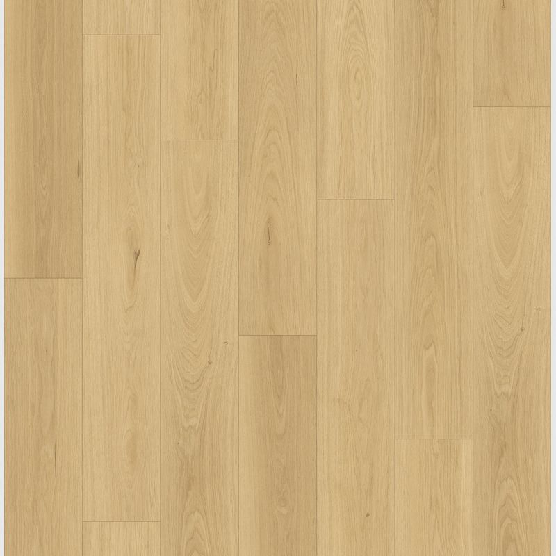 Queenstown 1.2 | Sandy Point