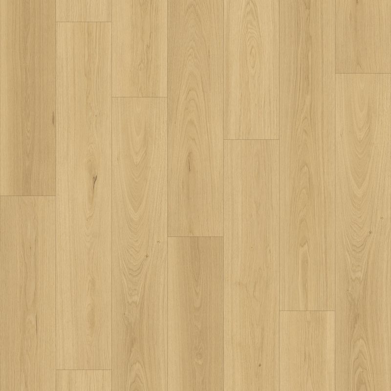 Queenstown 1.2 | Sandy Point