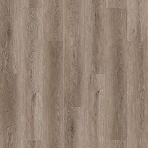 Queenstown 1.2 | Wellington