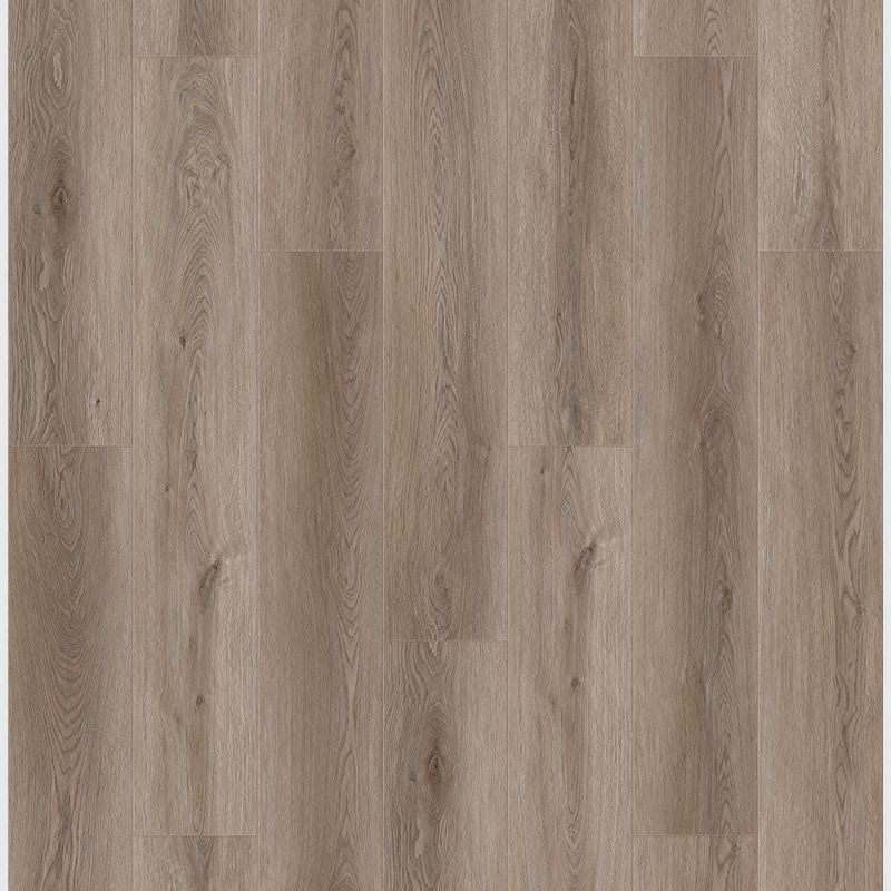 Queenstown 1.2 | Wellington