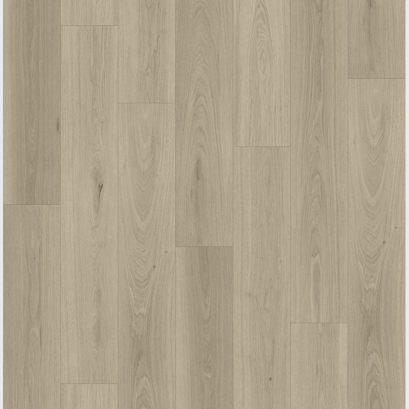 Queenstown 1.2 | Arrowtown