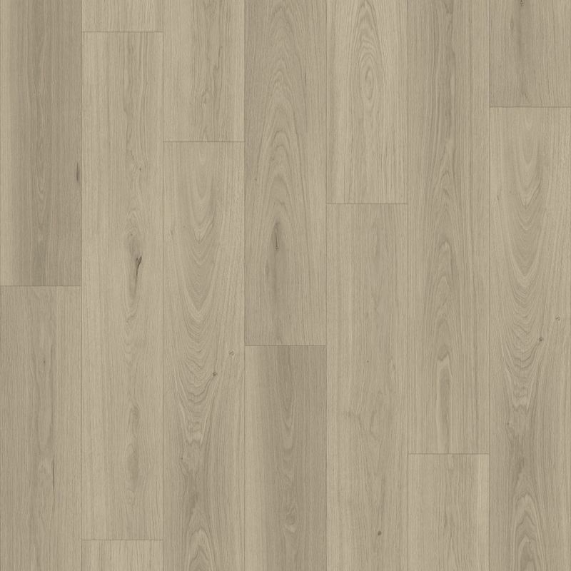 Queenstown 1.2 | Arrowtown