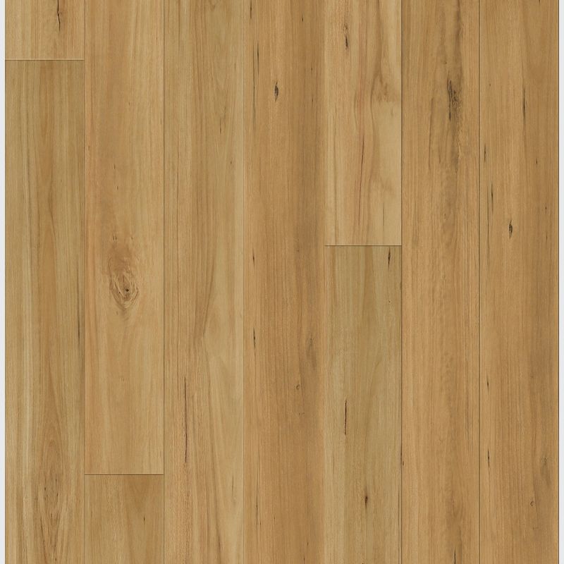 Queenstown 1.2 | Blackbutt