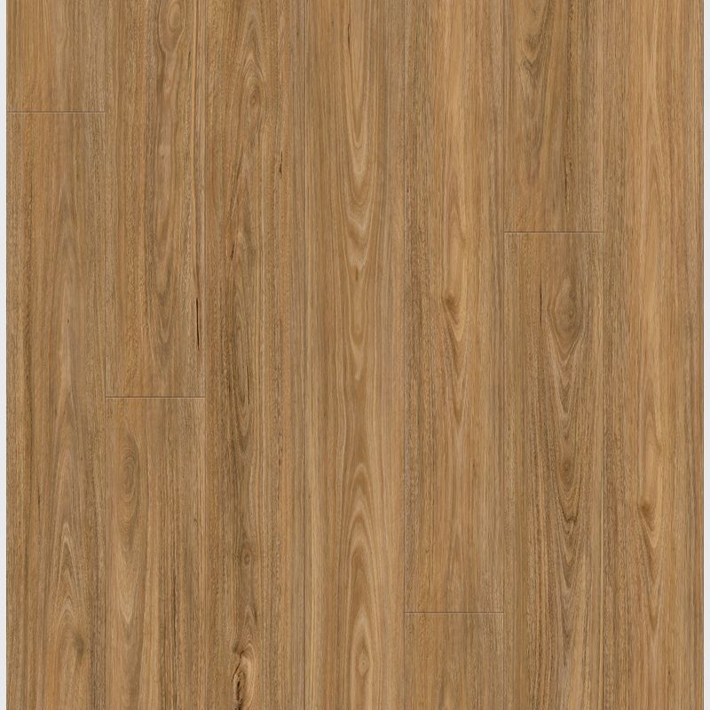 Queenstown 1.2 | Spotted Gum