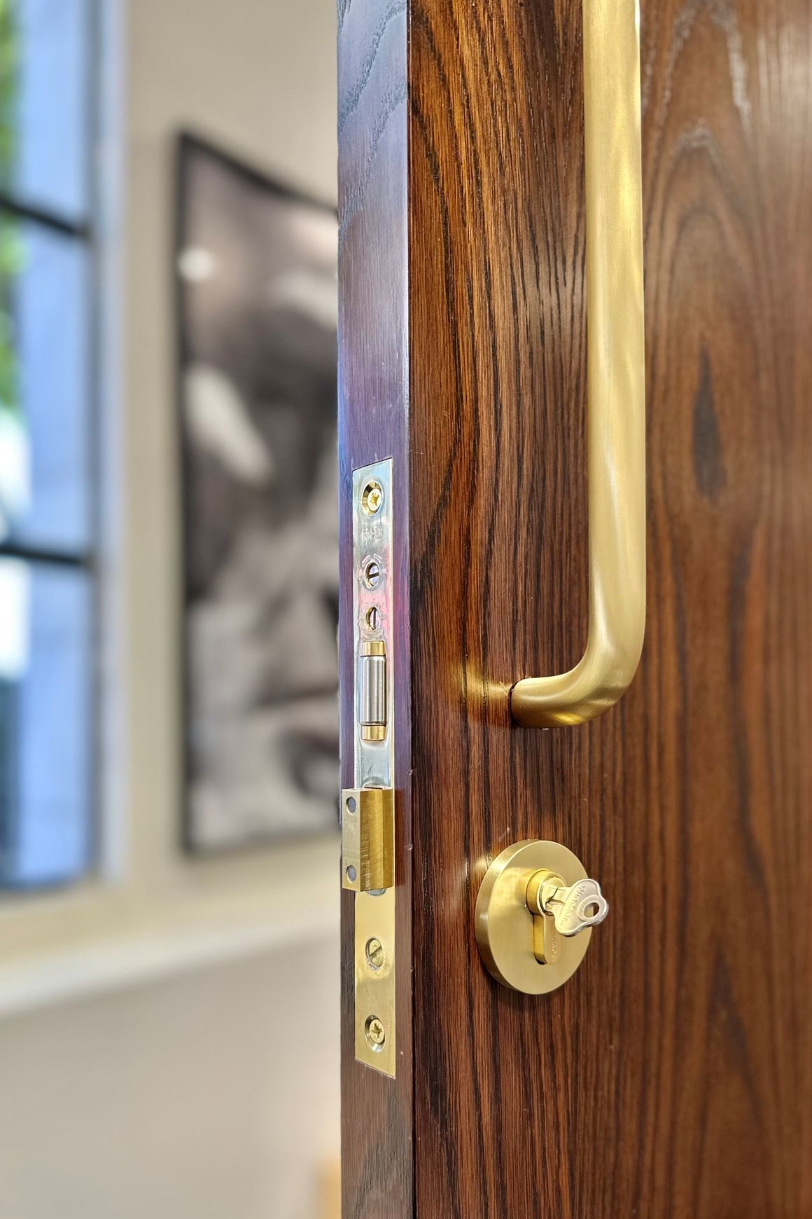 HB2050 High Security Roller Ball Euro Lock