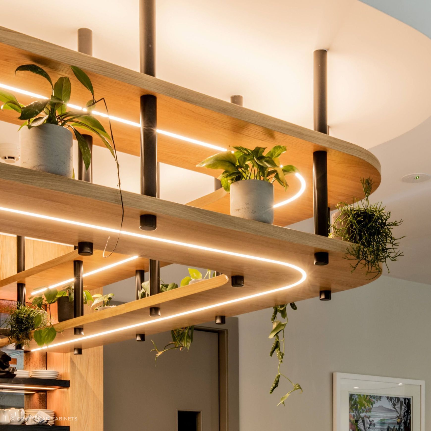 Domus Line FLEXYLED LED Strip Lighting