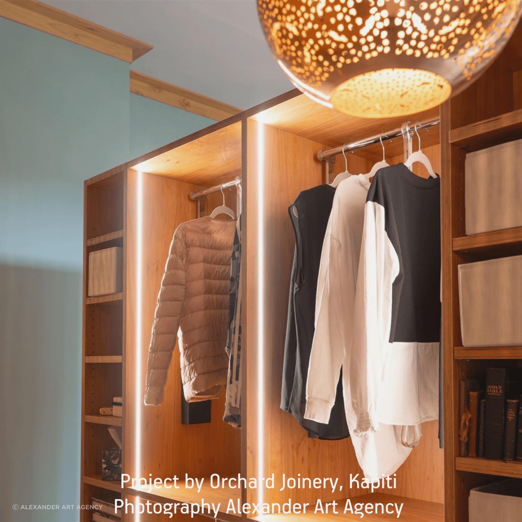 Domus Line FLEXYLED LED Strip Lighting