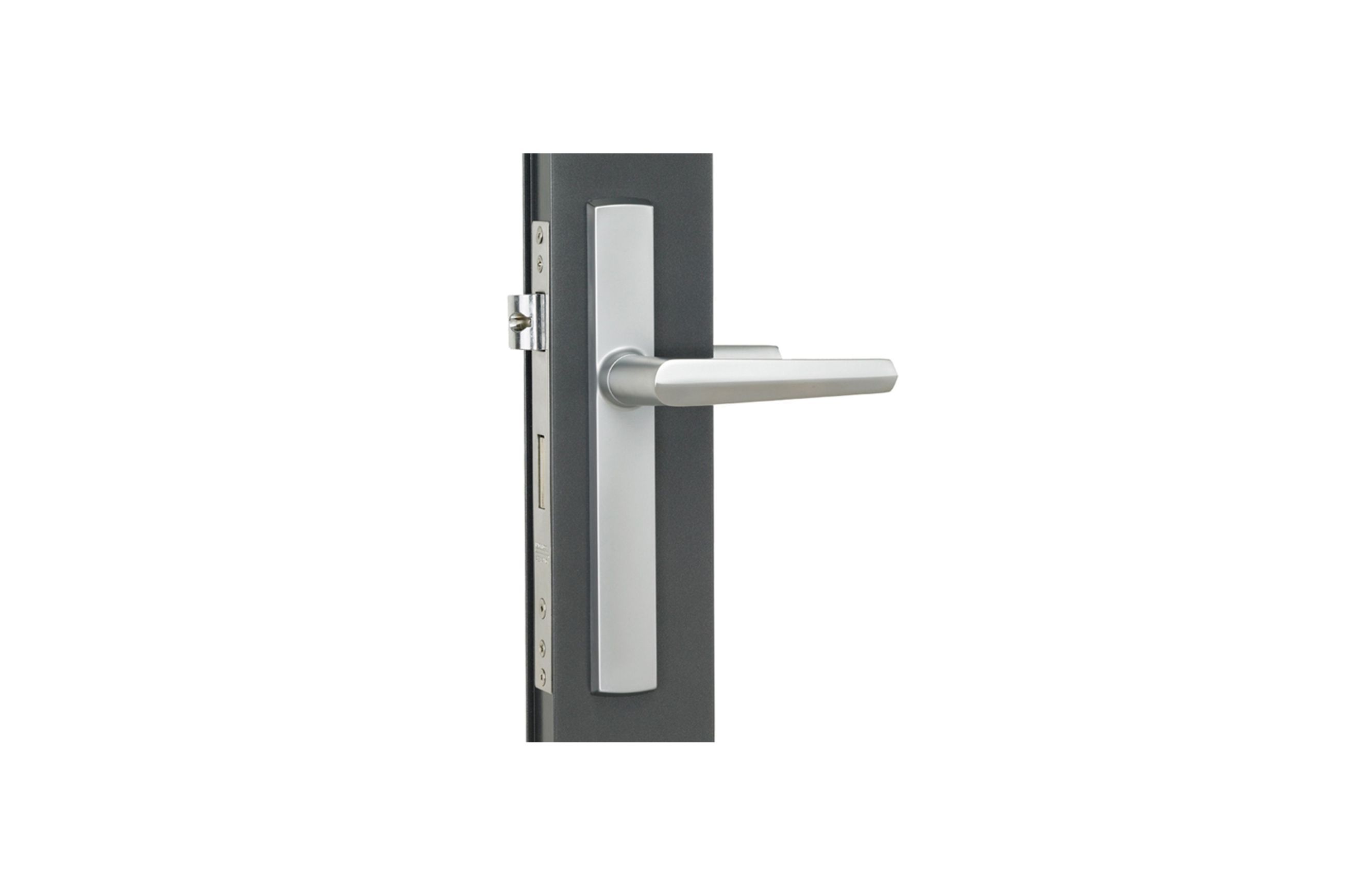 Aria Hinged Door Handle