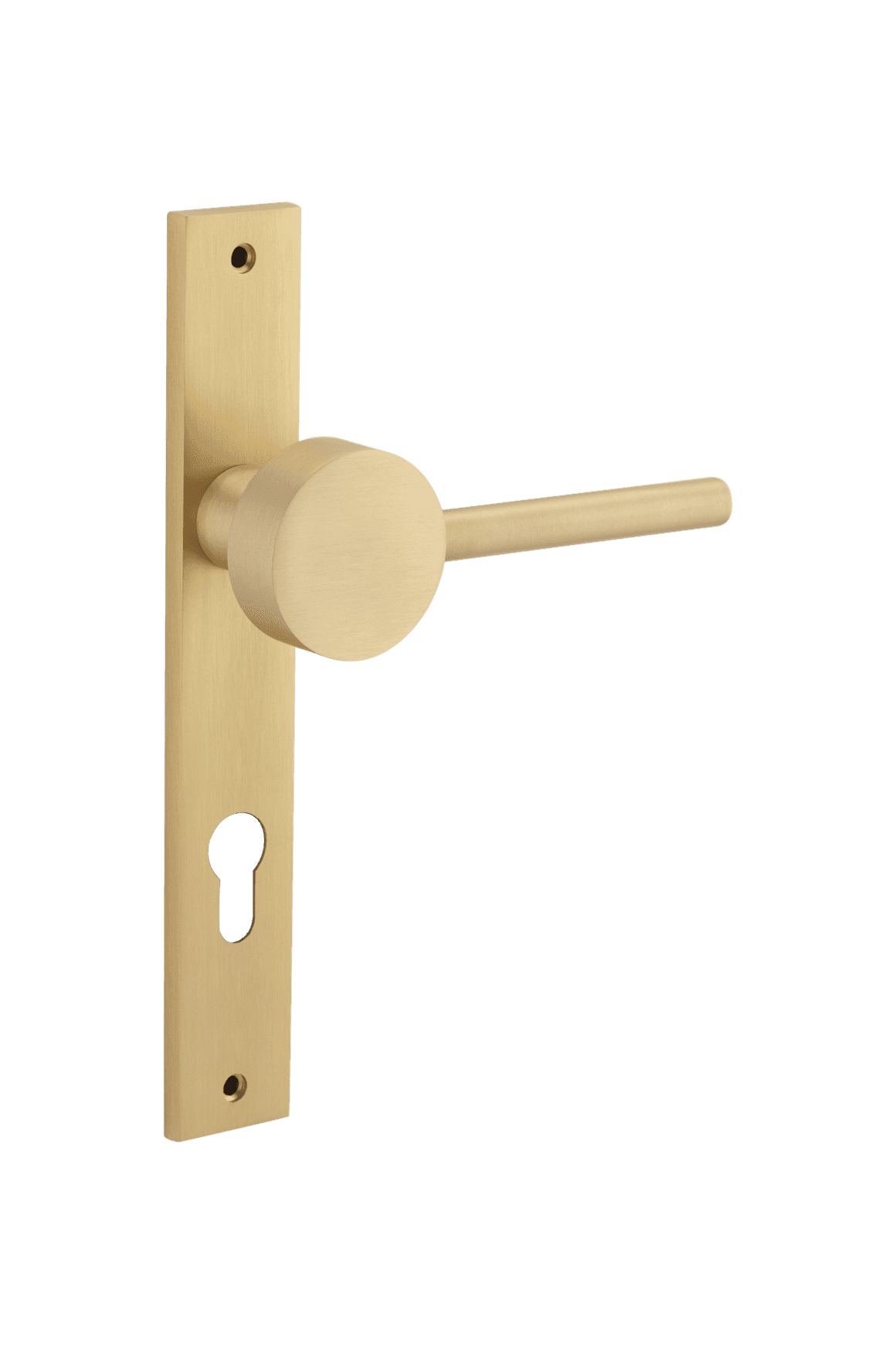 Geppetto Door Lever - Rectangular Backplate