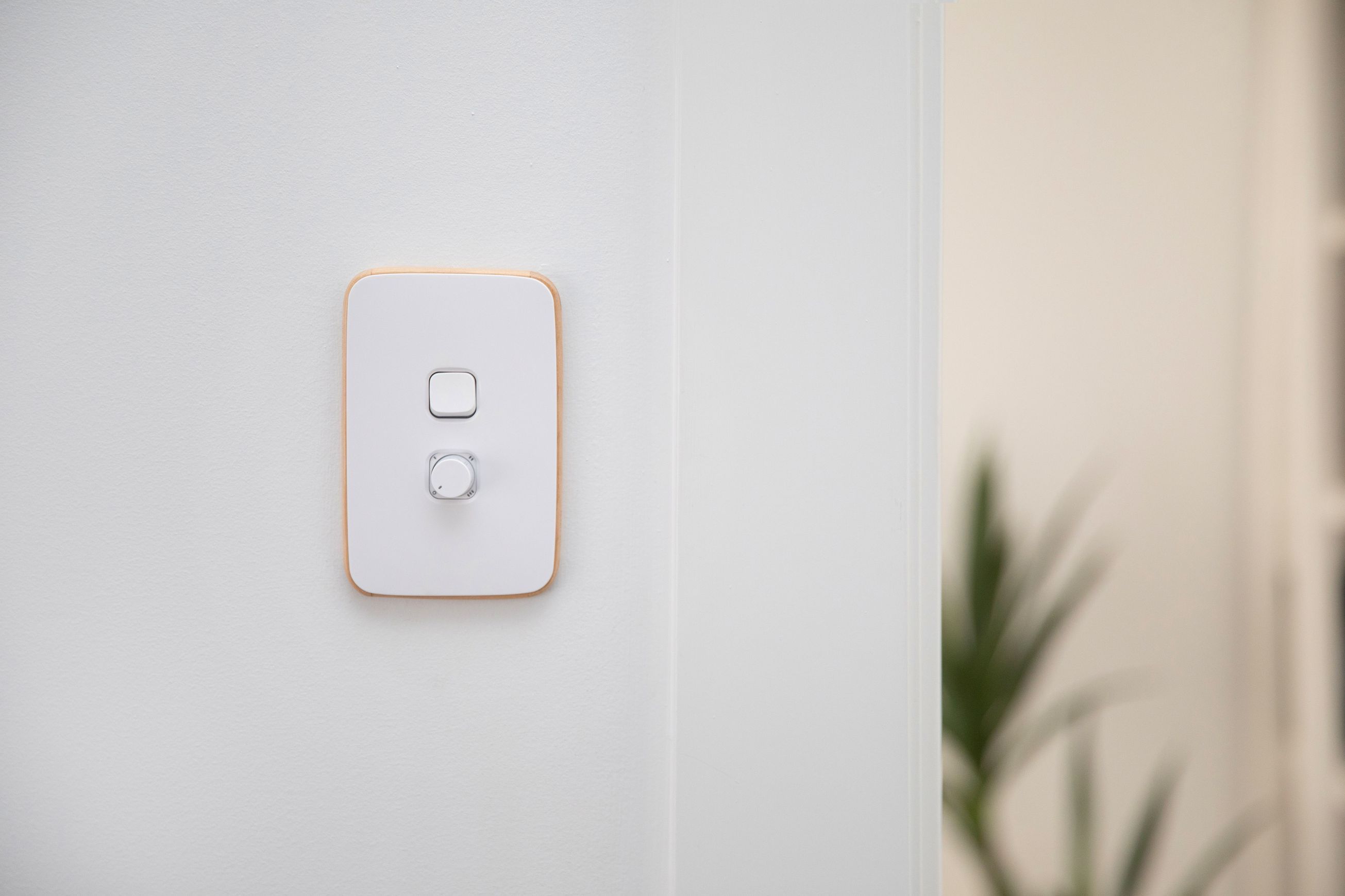 Iconic Essence | Switches & Power Points