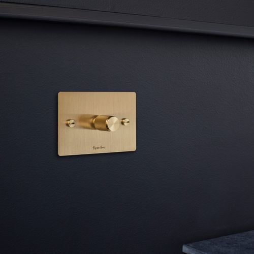 1G Dimmer | Buster + Punch