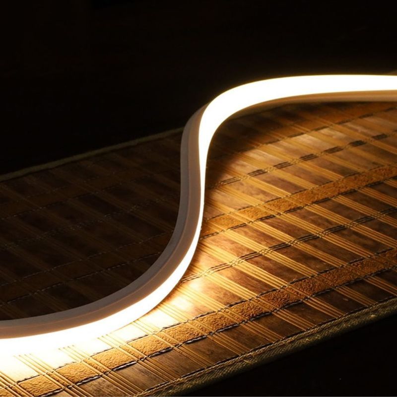 Bidirect Snake Light