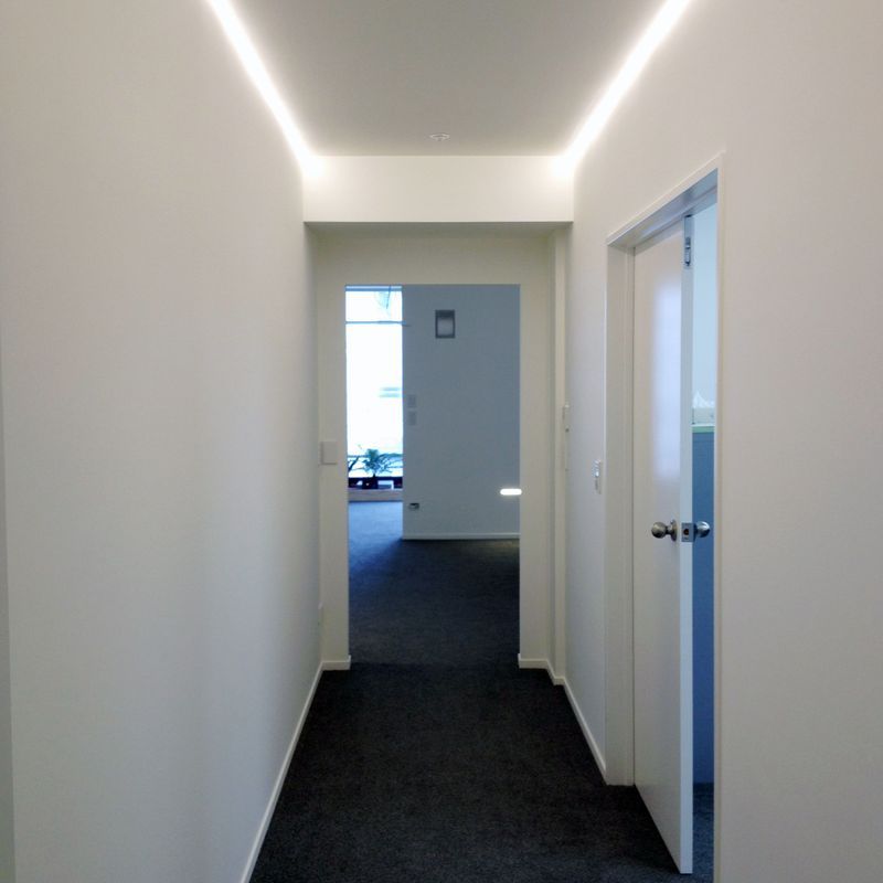 Where's Ben 25 Linear LED Light