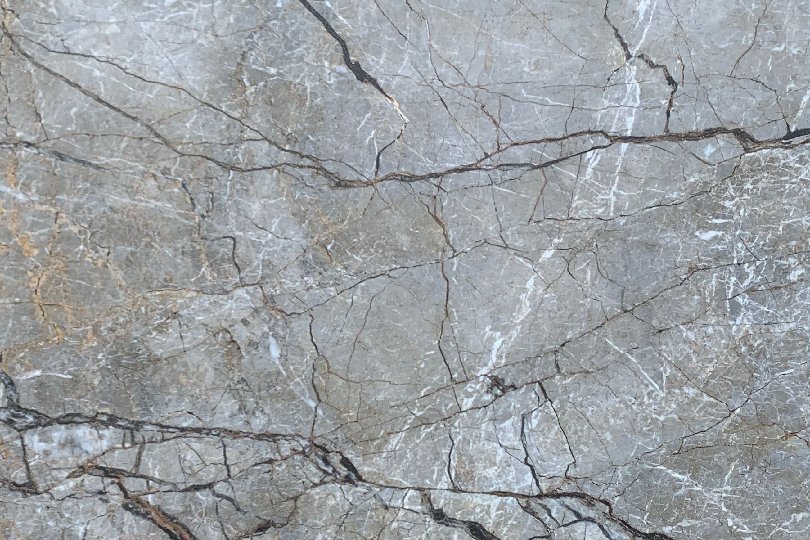 Silver Roots | Marble
