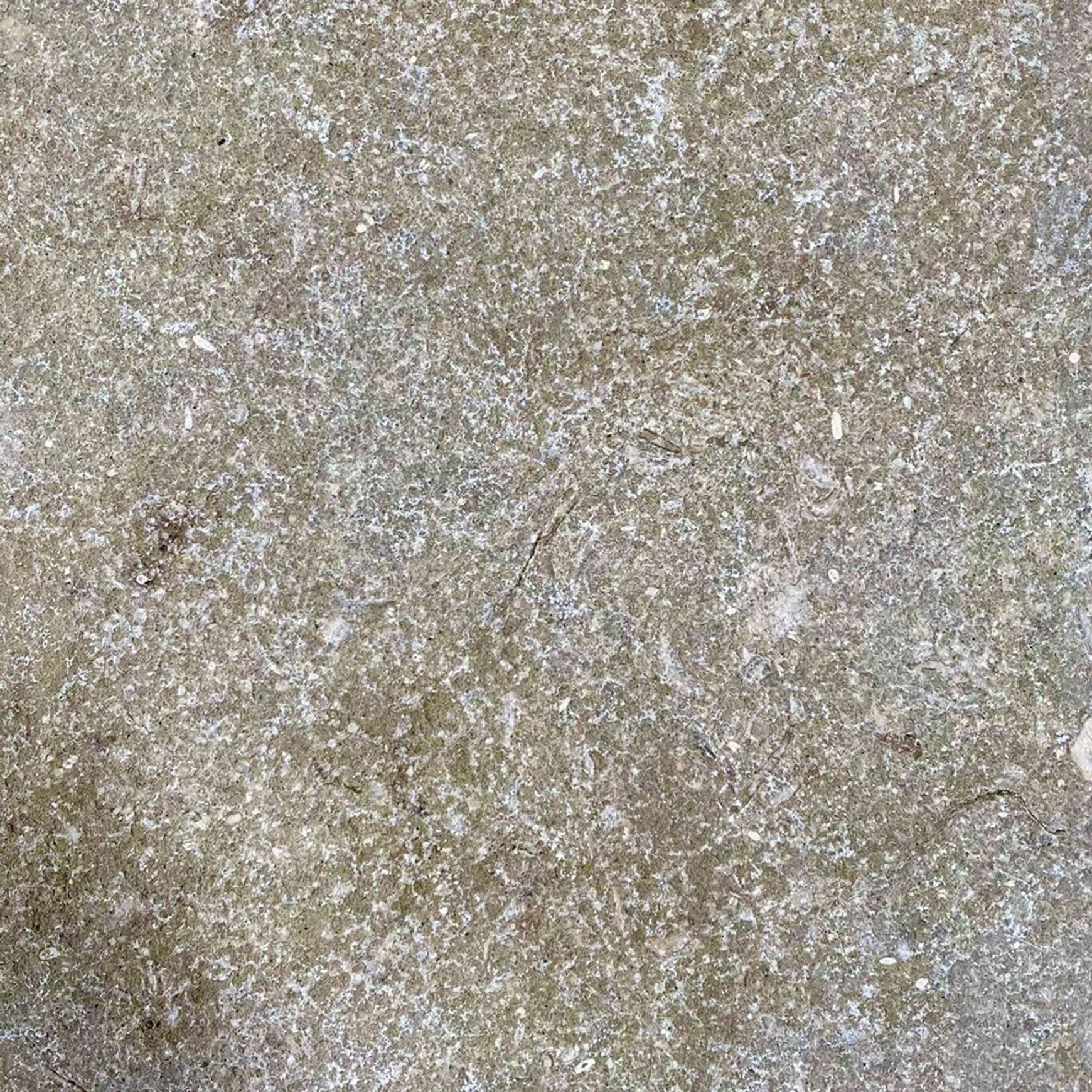 Seagrass Marble Pavers Flamed & Tumbled