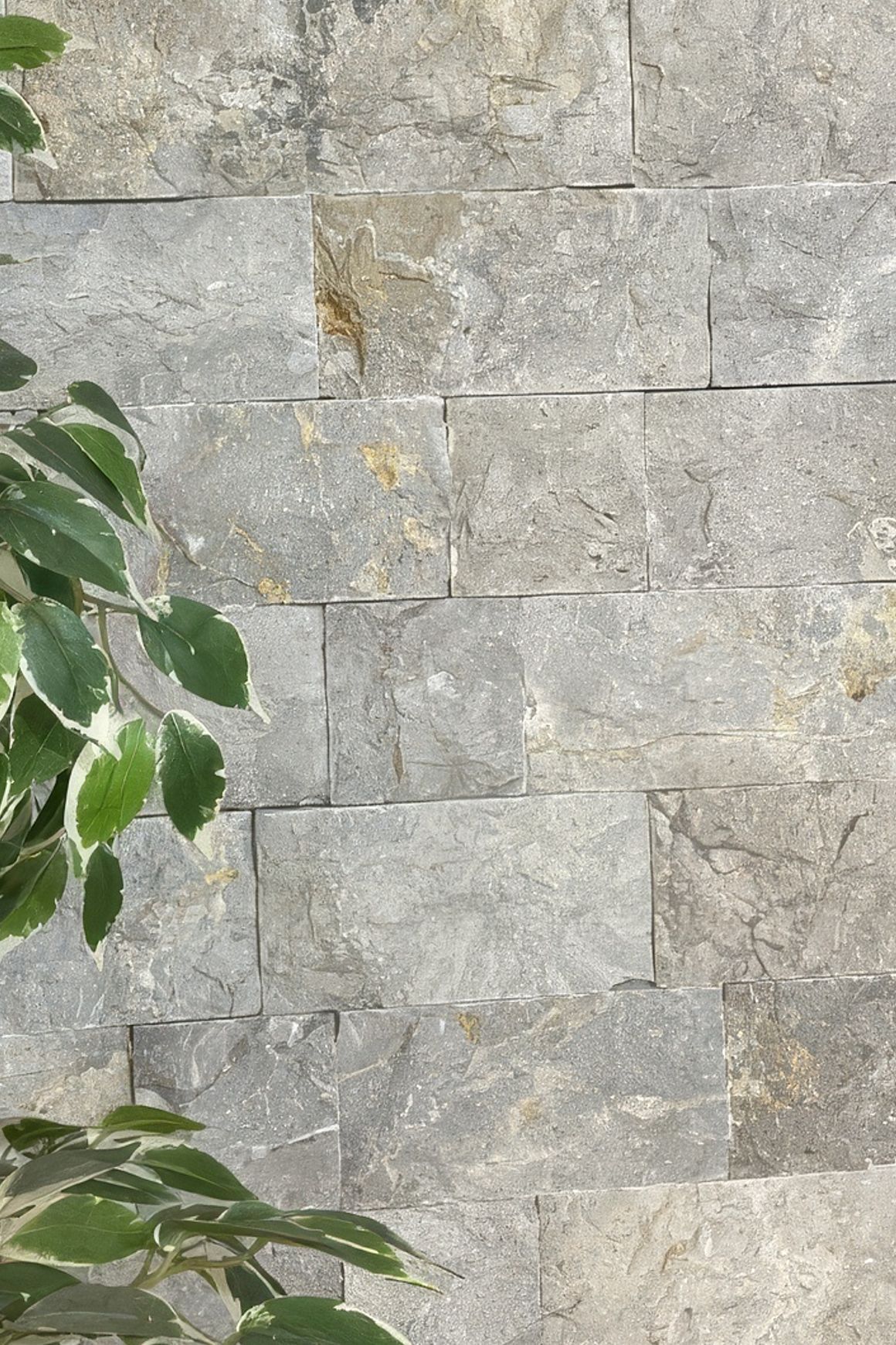 Pacific Grey | Cladding - Loose