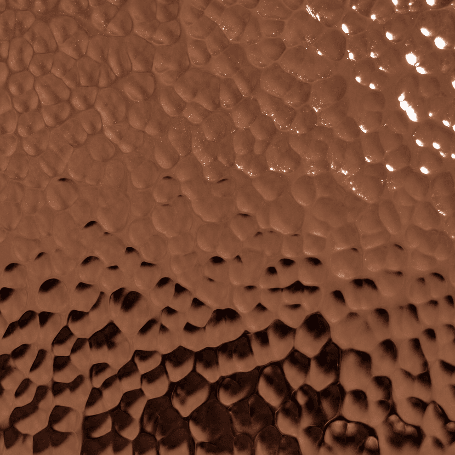 Embossed Stainless Steel | Wall Finishes