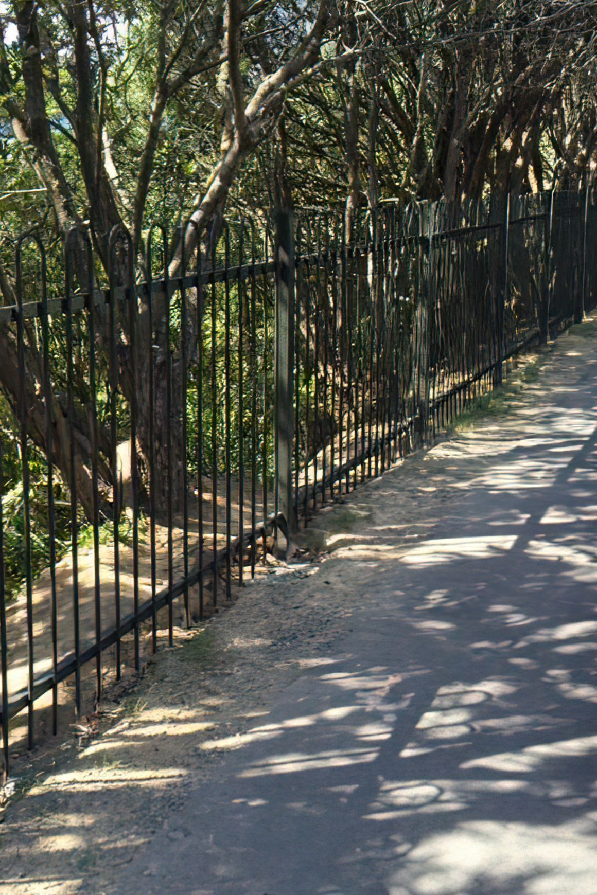 Sherwood - Tubular School Fence