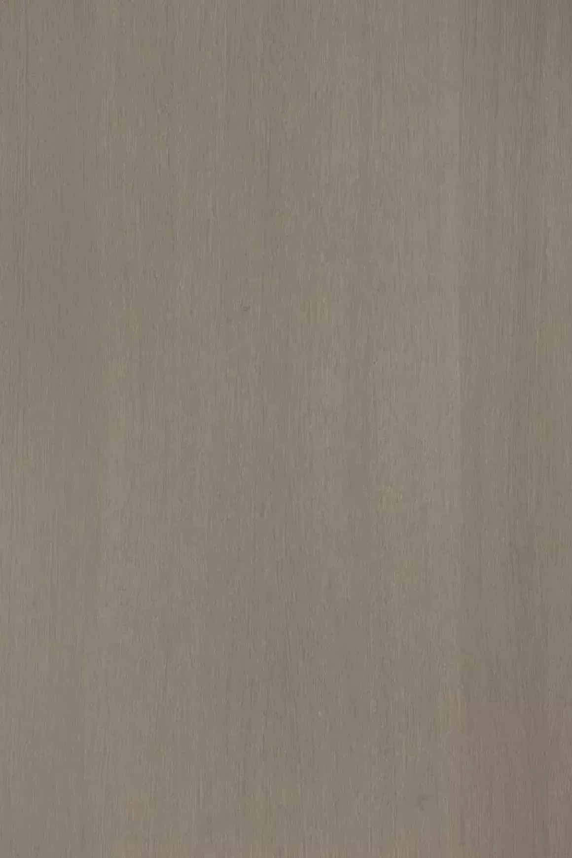 Alor Asta Oak 1F1B 2440mm Veneer Panel