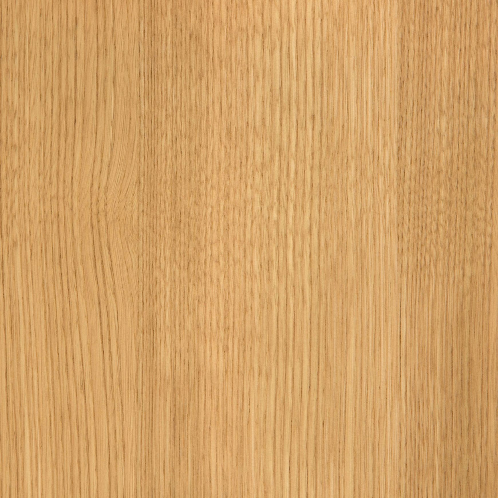 European Chestnut | Clear | Lignapal Panels