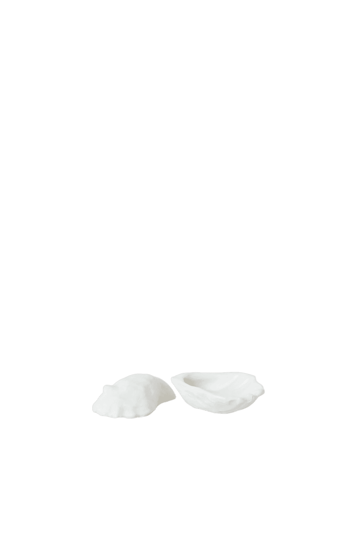 Bounty Shells