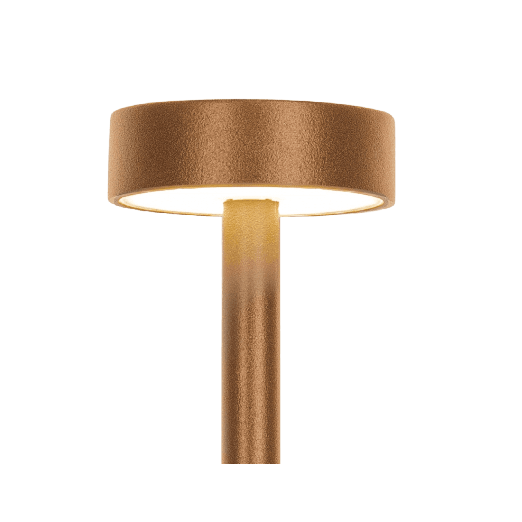 Xander IP65 Spike Light