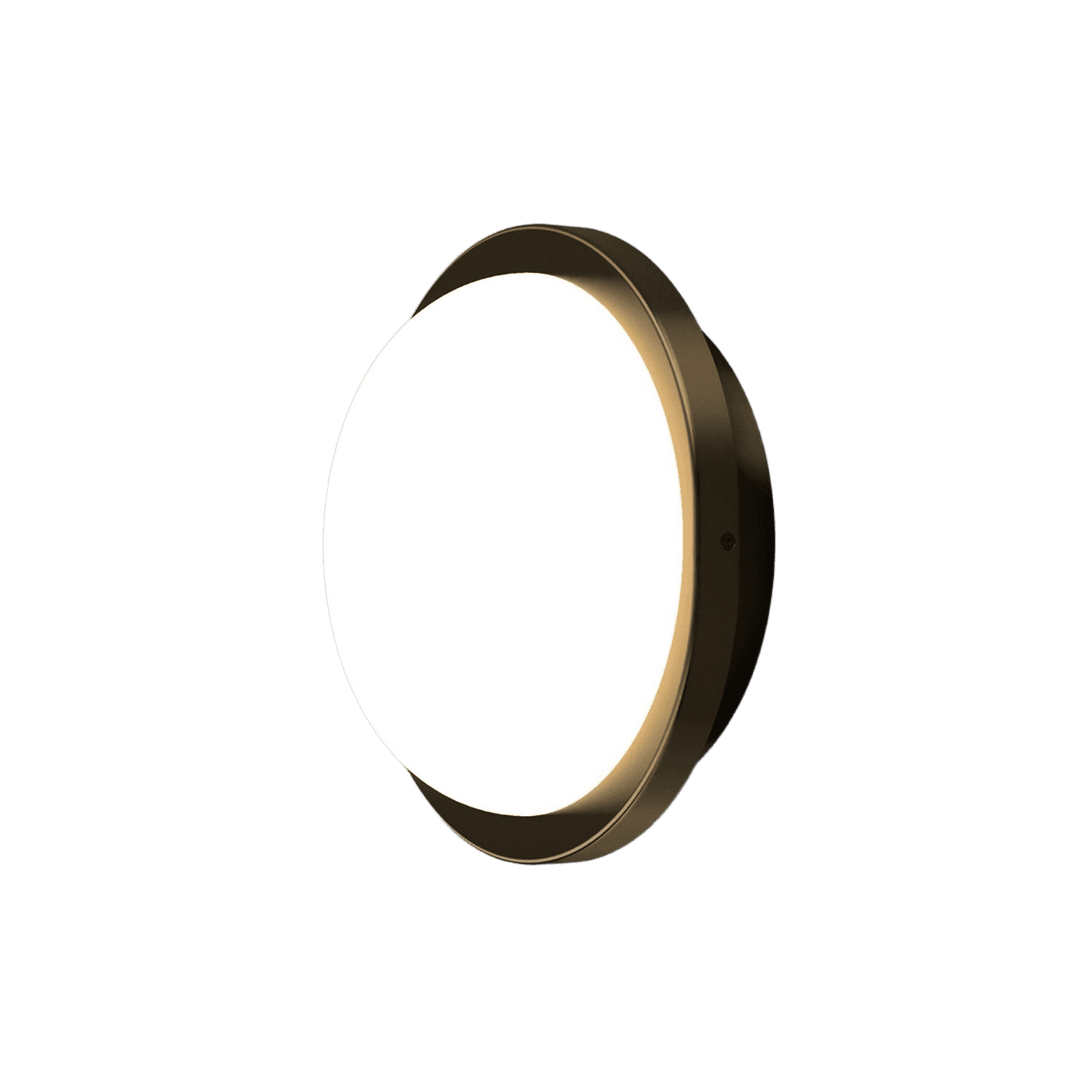 Bode Round Wall/Ceiling Light