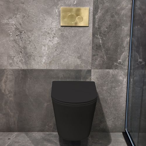 Pure Typhoon Wall Hung Toilet Suite |Brushed Brass Btn