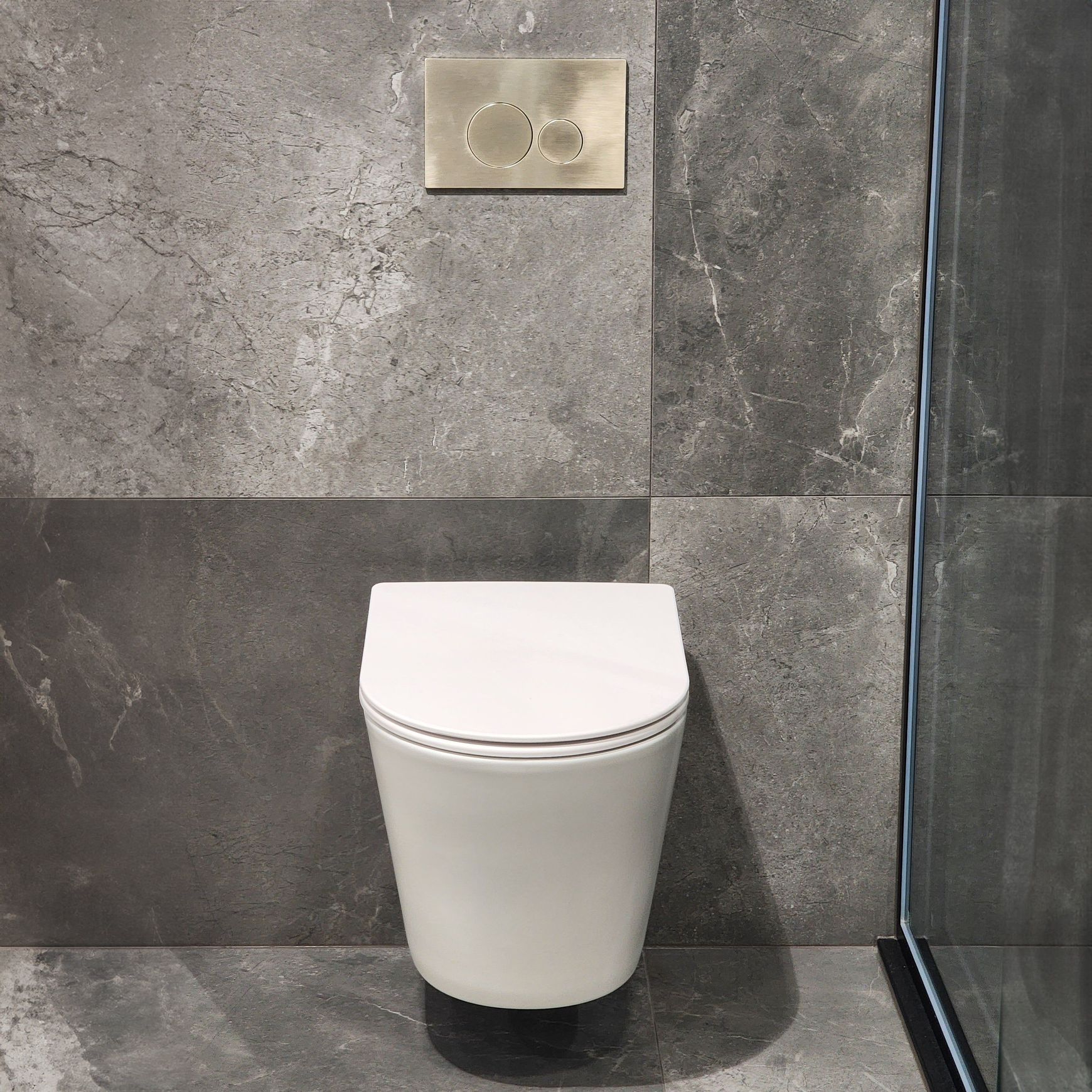 Pure Typhoon Wall Hung Toilet Suite |Brushed Nickel Btn