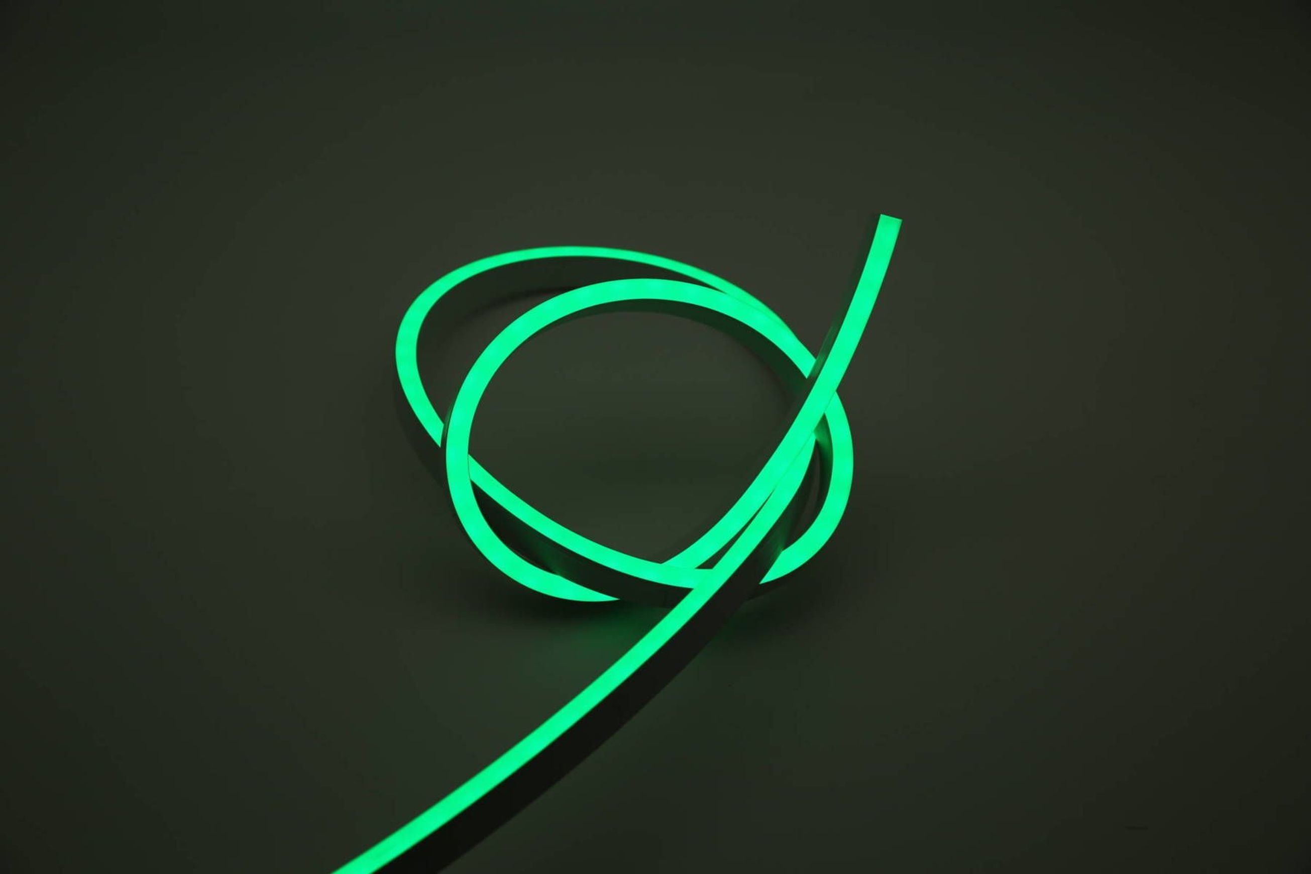 Cobra Snake Light